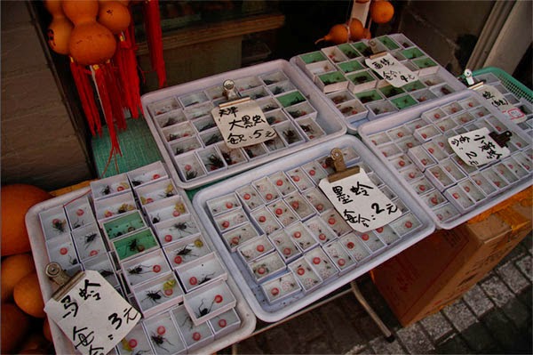 Продажа сверчков на рынке в Китае