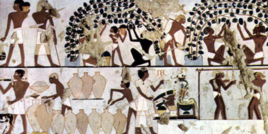  Древний Египет, Осирис, Тутанхамон, виноделие, гробница