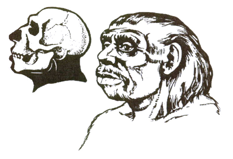 Неандерталец - "человек умелый"