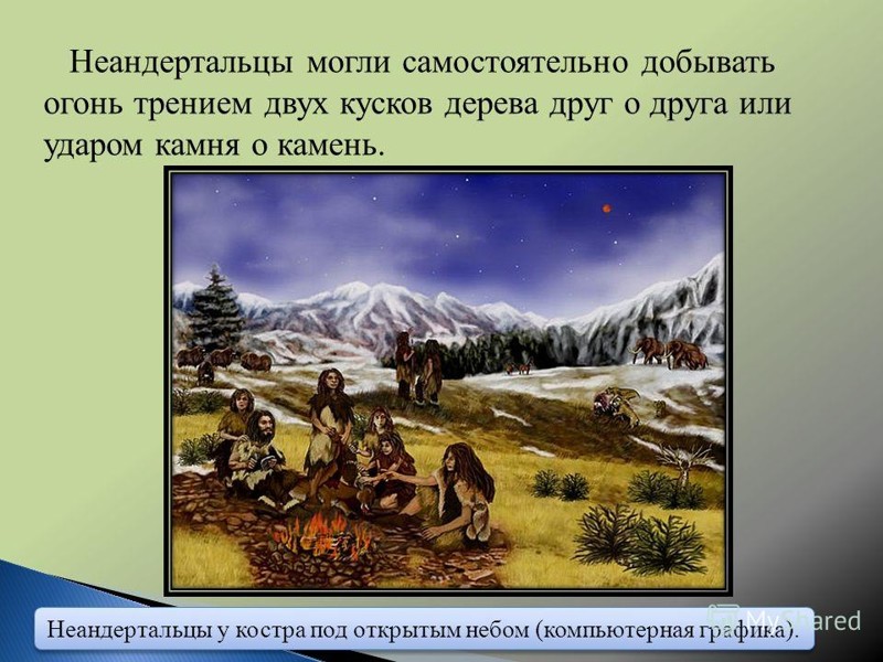 От обезьяны к человеку: десять шагов антропогенез, древний человек, эволюция