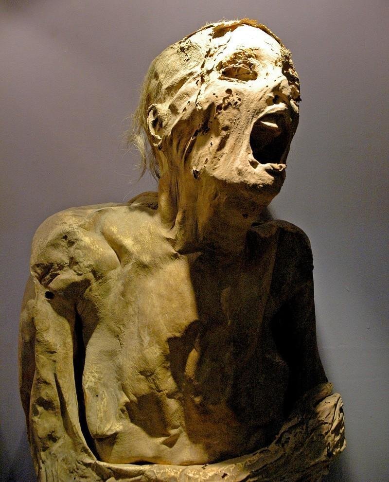 Кричащие мумии из музея Гуанахуато до нашей эры, египет, загадки, интересное, история, мумии, фото