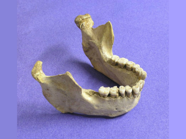 Анализ останков и каменных артефактов уточнил сроки исчезновения неандертальцев (фото Thomas Higham).