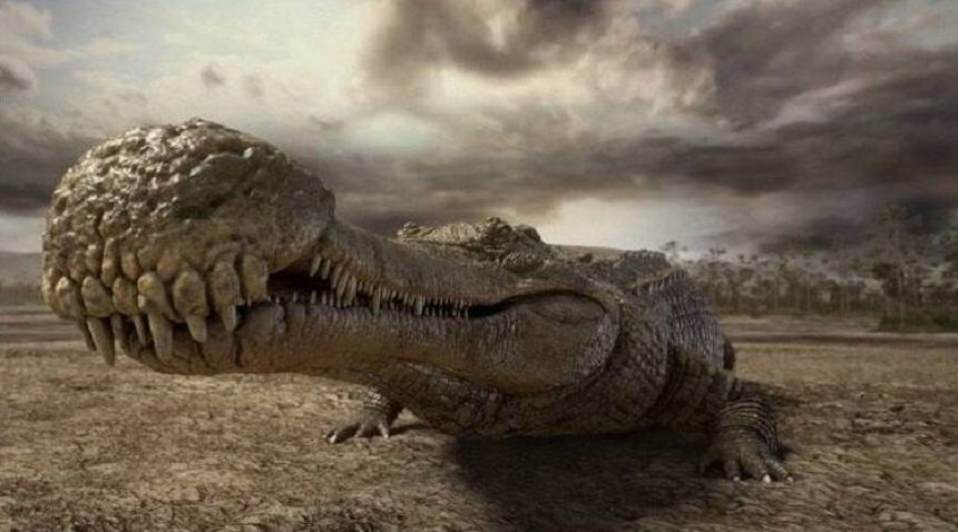 Саркозух супер крокодил