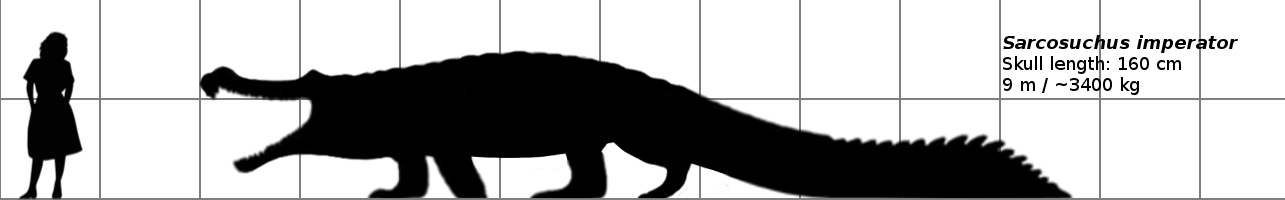 Sarcosuchus