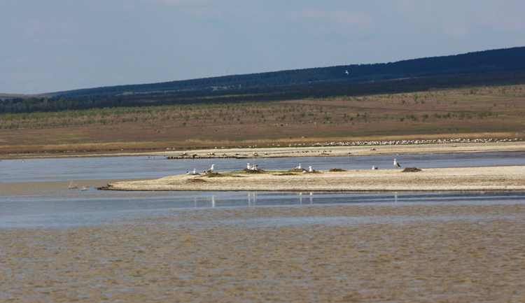 Урочище Сорокаозёрки