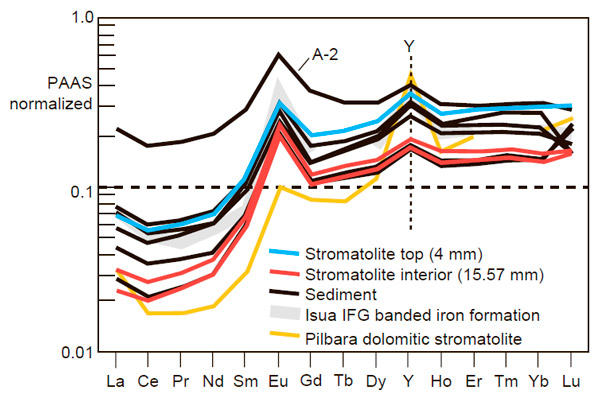 Спектры редких элементов в древнейших строматолитах Дрессер и Исуа