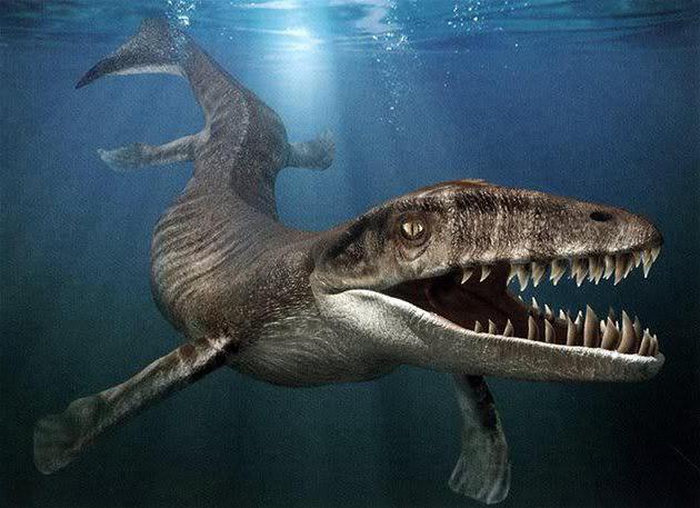 доисторические морские чудовища