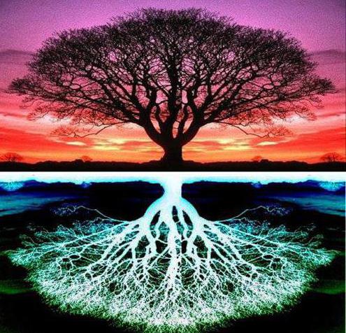 мировое дерево жизни