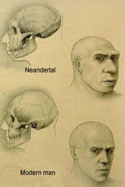 последний неандерталец
