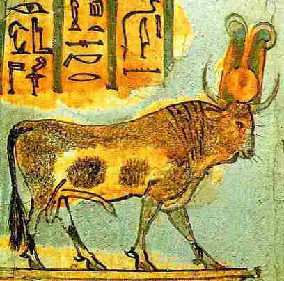 Священное животное древнего Египта. Почитание быка, коровы, кошки, мангуста, сокола