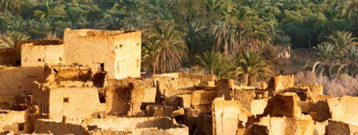  какие природные условия в древнем египте способствовали