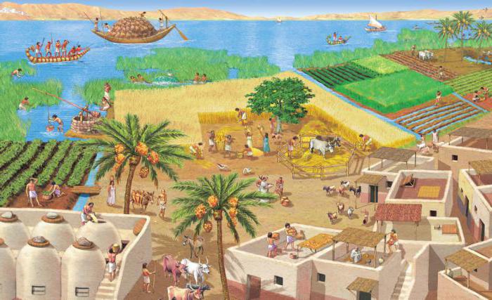  какие природные условия древнего египта были благоприятны