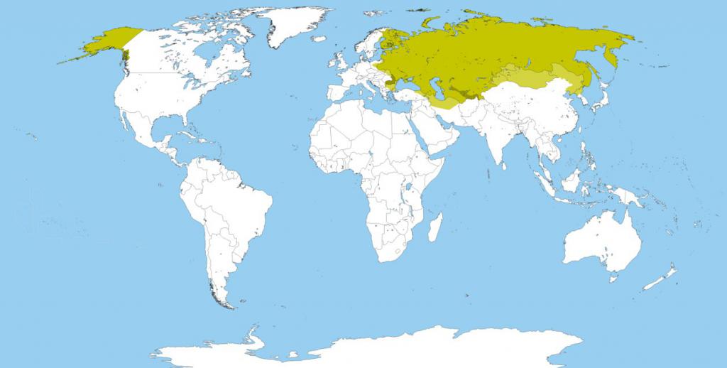карта российской империи в период расцвета