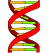 DNA icon.svg