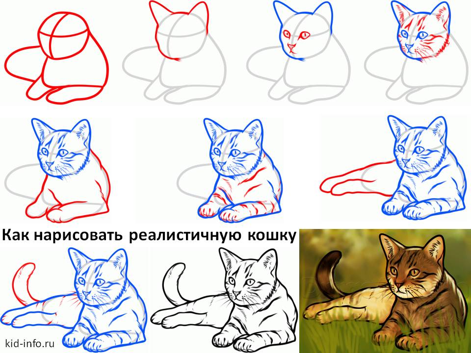 Как нарисовать кошку и котёнка