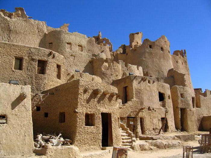  первобытное жилище древних людей