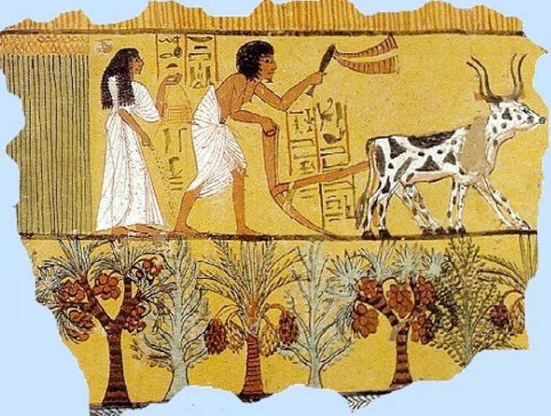 как жили земледельцы и ремесленники в египте