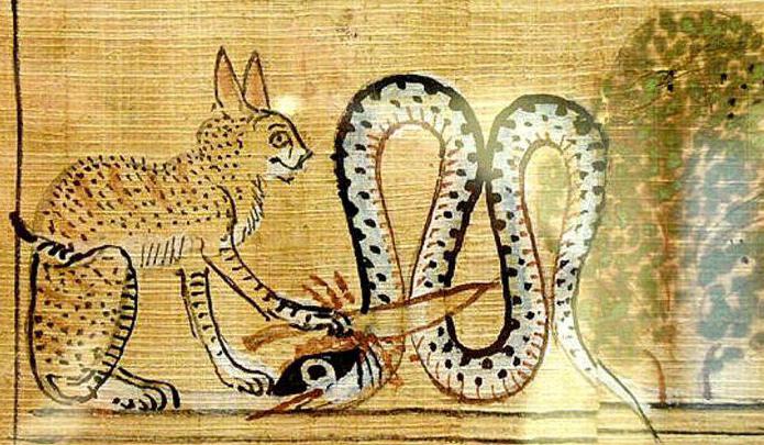 Священные животные Древнего Египта кошка