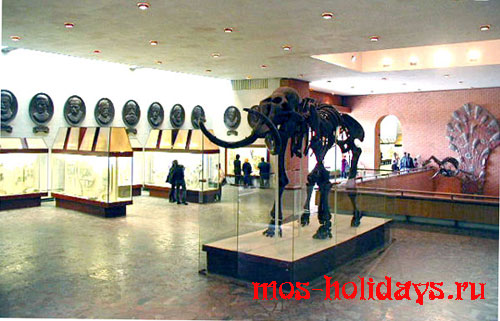 Скелет мамонта в Палеонтологическом музее