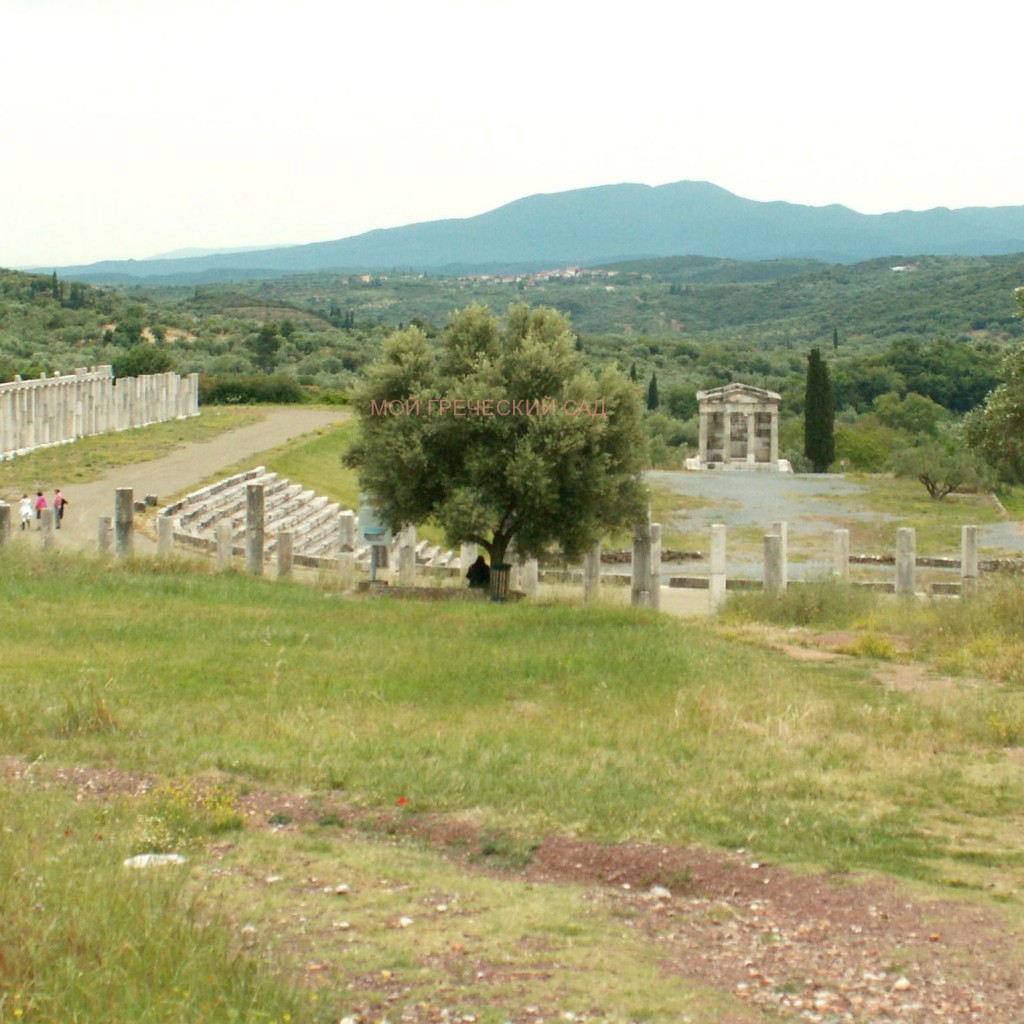 постройки древней греции