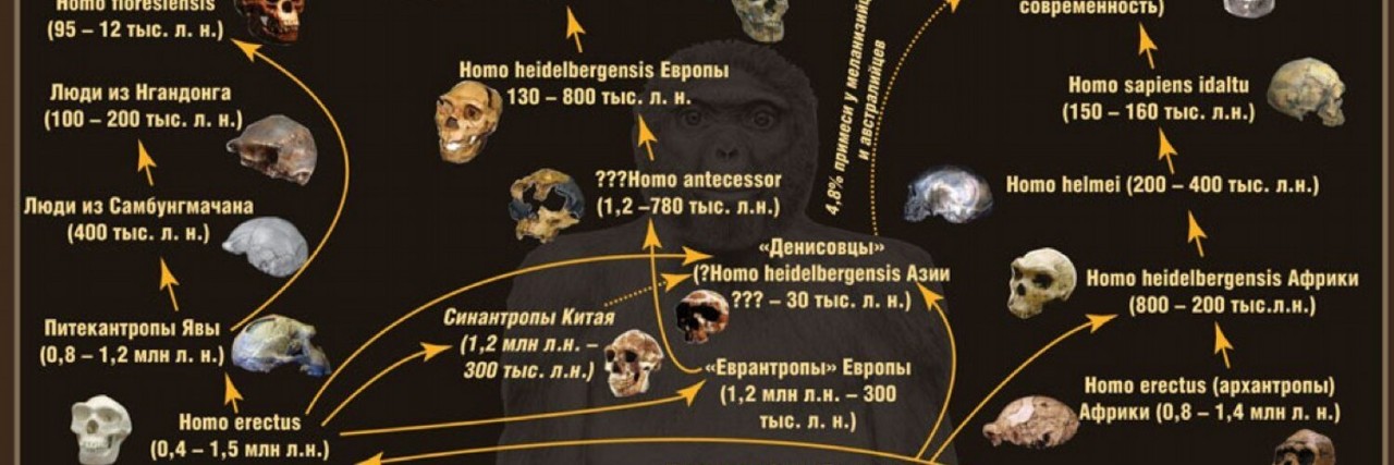 Как связаны Кроманьонцы, Неандертальцы и Денисовский человек? Последний неандерталец и анализ ДНК.