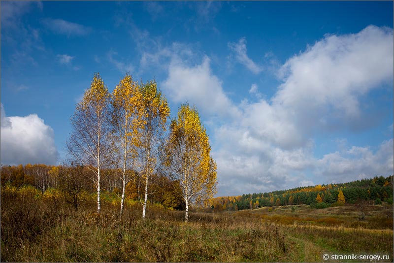 Лесостепь