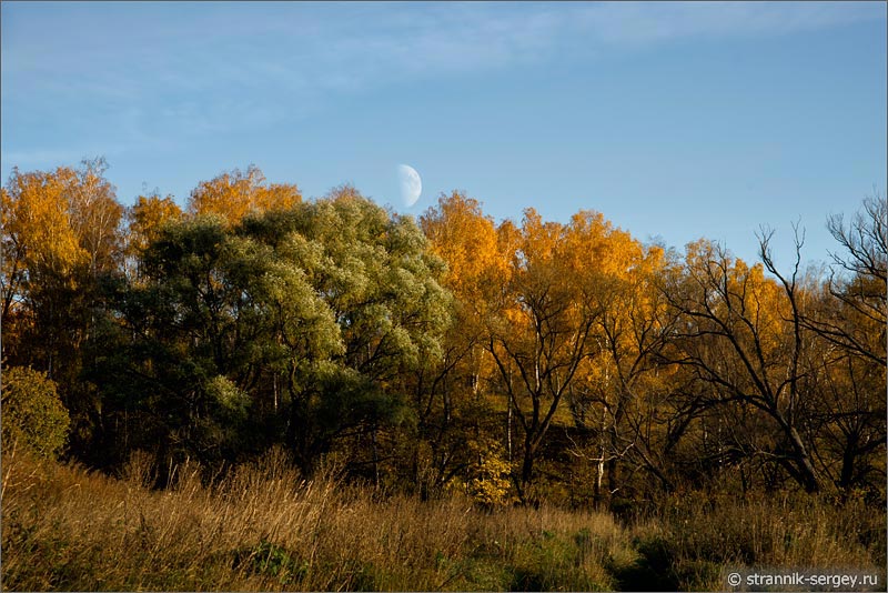 Лесостепь Луна