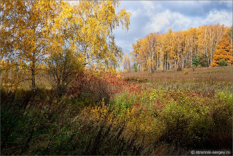 Лесостепь Перелески