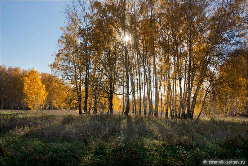 Лесостепь осень