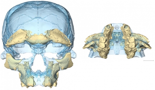 Обнаружены древнейшие останки человека разумного