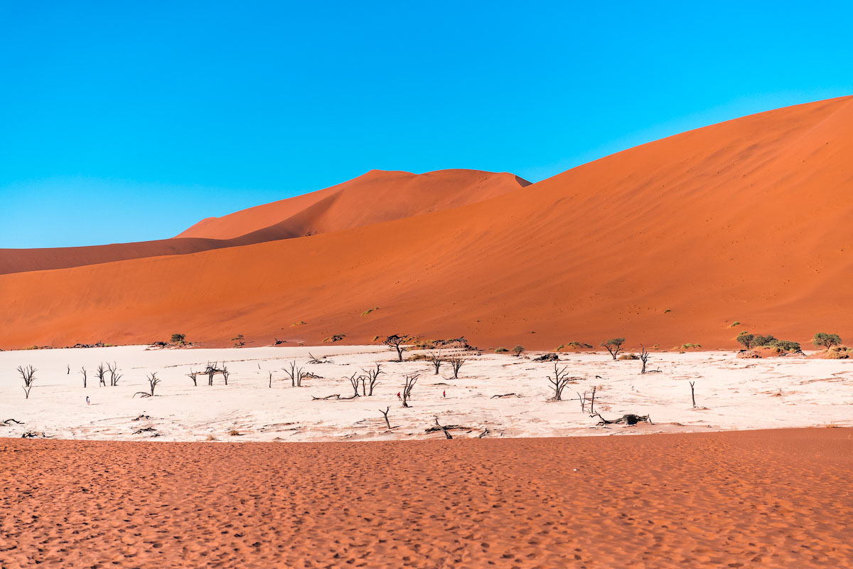 Самая древняя пустыня в мире