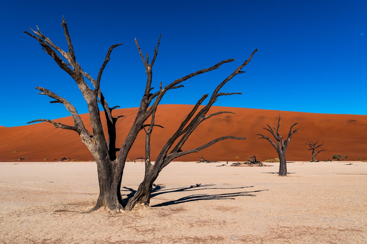 Самая древняя пустыня в мире