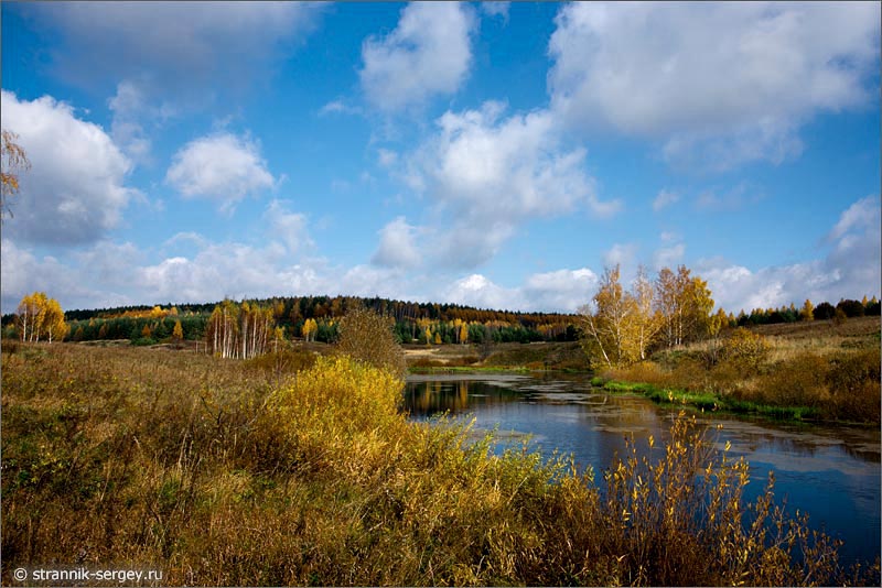 Лесостепь Пейзаж