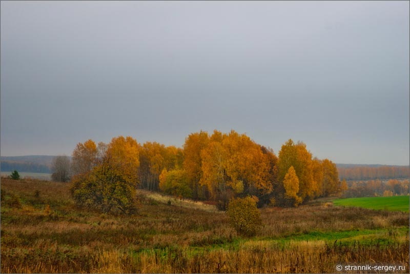 Лесостепь 