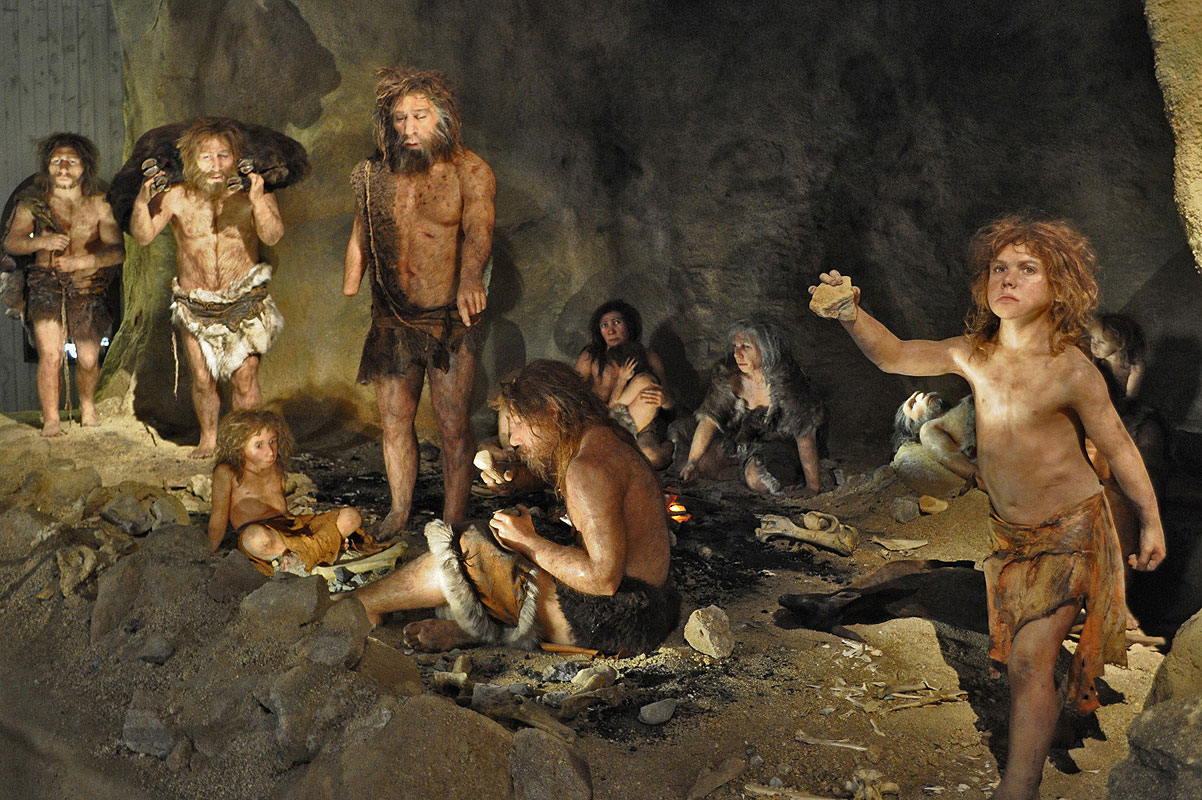 Умные неандертальцы