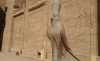 Бог в образе сокола. Храм в Эдфу