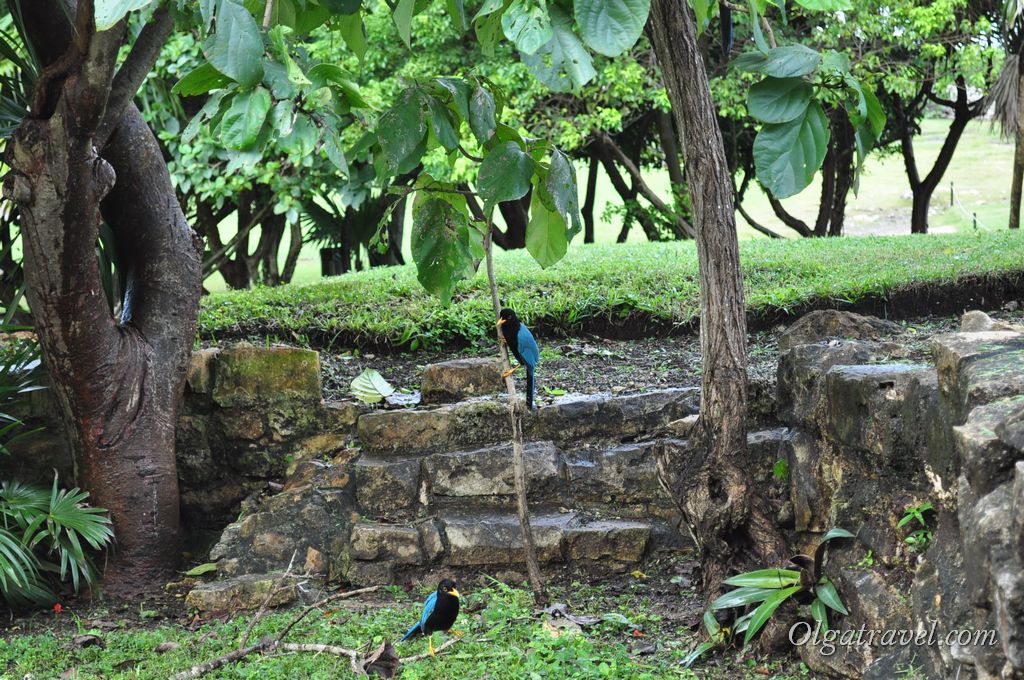 Tulum_ruins_15