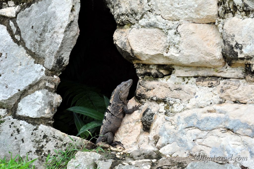 Tulum_ruins_28