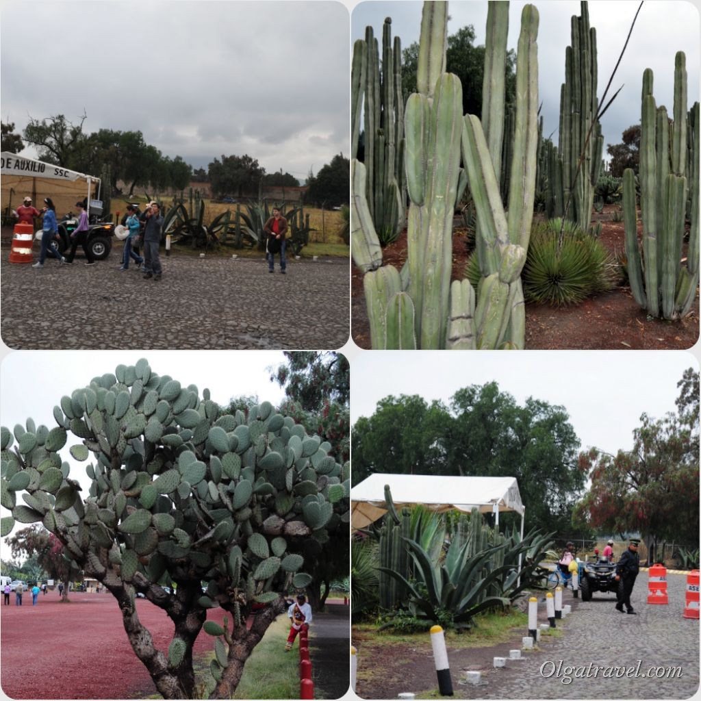 Mexico_Teotihuacan32