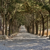 Путь на Голгофу в Филеримском монастыре