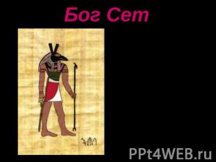 Бог Сет Сет, в египетской мифологии бог пустыни, т. е. "чужеземных стран", олице