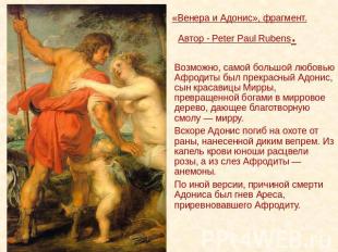 «Венера и Адонис», фрагмент. Автор - Peter Paul Rubens. Возможно, самой большой