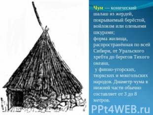 Чум — конический шалаш из жердей, покрываемый берёстой, войлоком или оленьими шк