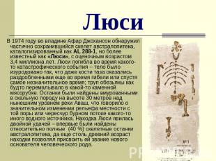 Люси В 1974 году во впадине Афар Джохансон обнаружил частично сохранившийся скел