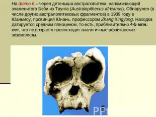 На фото 6 – череп детеныша австралопитека, напоминающий знаменитого Бэби из Таун