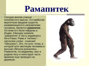 Рамапитек Сегодня многие ученые склоняются к мысли, что наиболее вероятным предк