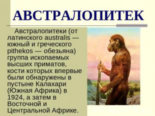 АВСТРАЛОПИТЕК Австралопитеки (от латинского australis — южный и греческого pithе