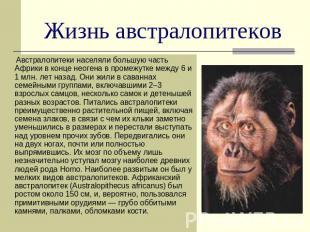 Жизнь австралопитеков Австралопитеки населяли большую часть Африки в конце неоге