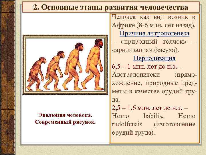 2. Основные этапы развития человечества Эволюция человека. Современный рисунок. Человек как вид возник в