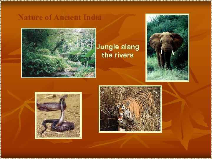 Nature of Ancient India Jungle alang the rivers 